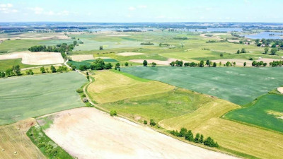Działki rolne Górkło gm Mikołajki - Górkło   -
warmińsko-mazurskie Zdjęcie nr 9