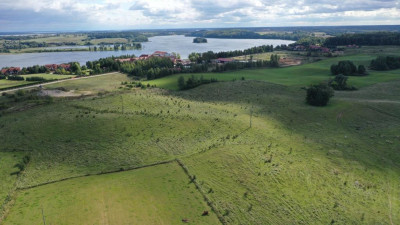 Działka rolna Stare Sady gm Mikołajki - Stare Sady   -
warmińsko-mazurskie Zdjęcie nr 12