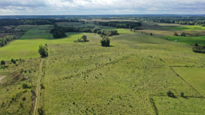 Działka rolna Stare Sady gm Mikołajki - Stare Sady   -
warmińsko-mazurskie Zdjęcie nr 14