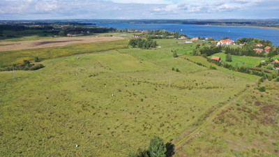 Działka rolna Stare Sady gm Mikołajki - Stare Sady   -
warmińsko-mazurskie Zdjęcie nr 5