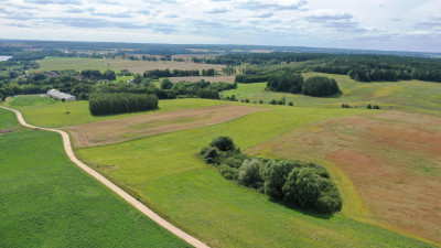 Piękna działka budowlana z widokiem na przyszłość - Orło   -
warmińsko-mazurskie Zdjęcie nr 4