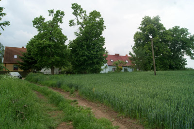 Ostania Działka budowlana Woźnice - Woźnice   -
warmińsko-mazurskie Zdjęcie nr 6