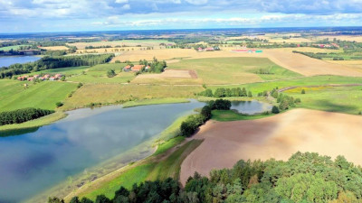 Działka bud 21 ha z linią brzegową jeziora Mamry - Trygort   -
warmińsko-mazurskie Zdjęcie nr 11