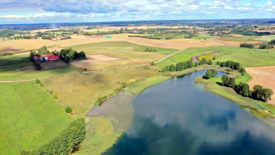 Działka bud 21 ha z linią brzegową jeziora Mamry - Trygort   -
warmińsko-mazurskie Zdjęcie nr 14
