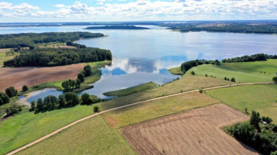 Działka bud 21 ha z linią brzegową jeziora Mamry - Trygort   -
warmińsko-mazurskie Zdjęcie nr 3