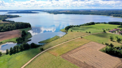 Działka bud 21 ha z linią brzegową jeziora Mamry - Trygort   -
warmińsko-mazurskie Zdjęcie nr 4
