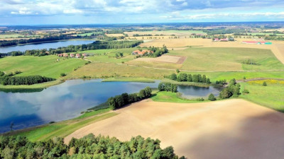 Działka bud 21 ha z linią brzegową jeziora Mamry - Trygort   -
warmińsko-mazurskie Zdjęcie nr 9