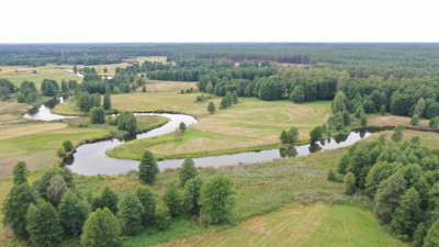 Atrakcyjna działka z linią brzegową rzeki Pisy - Jeże   -
warmińsko-mazurskie Zdjęcie nr 4