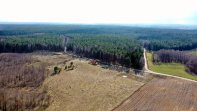 Działka bud 2001 m2 Rybical gm Ryn - Rybical   -
warmińsko-mazurskie Zdjęcie nr 5