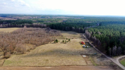 Działka bud 2001 m2 Rybical gm Ryn - Rybical   -
warmińsko-mazurskie Zdjęcie nr 6