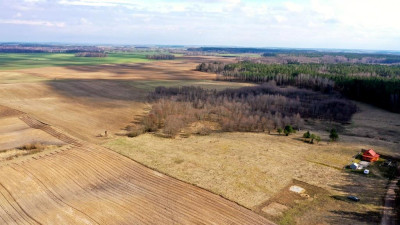 Działka bud 2001 m2 Rybical gm Ryn - Rybical   -
warmińsko-mazurskie Zdjęcie nr 7