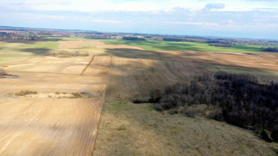 Działka bud 2001 m2 Rybical gm Ryn - Rybical   -
warmińsko-mazurskie Zdjęcie nr 8
