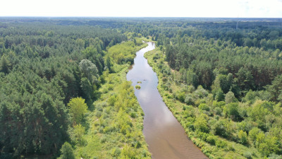 Piękna działka w świetnej lokalizacji - Pogorzelec - Pogorzelec   -
mazowieckie Zdjęcie nr 7