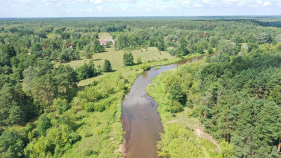 Piękna działka w świetnej lokalizacji - Pogorzelec - Pogorzelec   -
mazowieckie Zdjęcie nr 8
