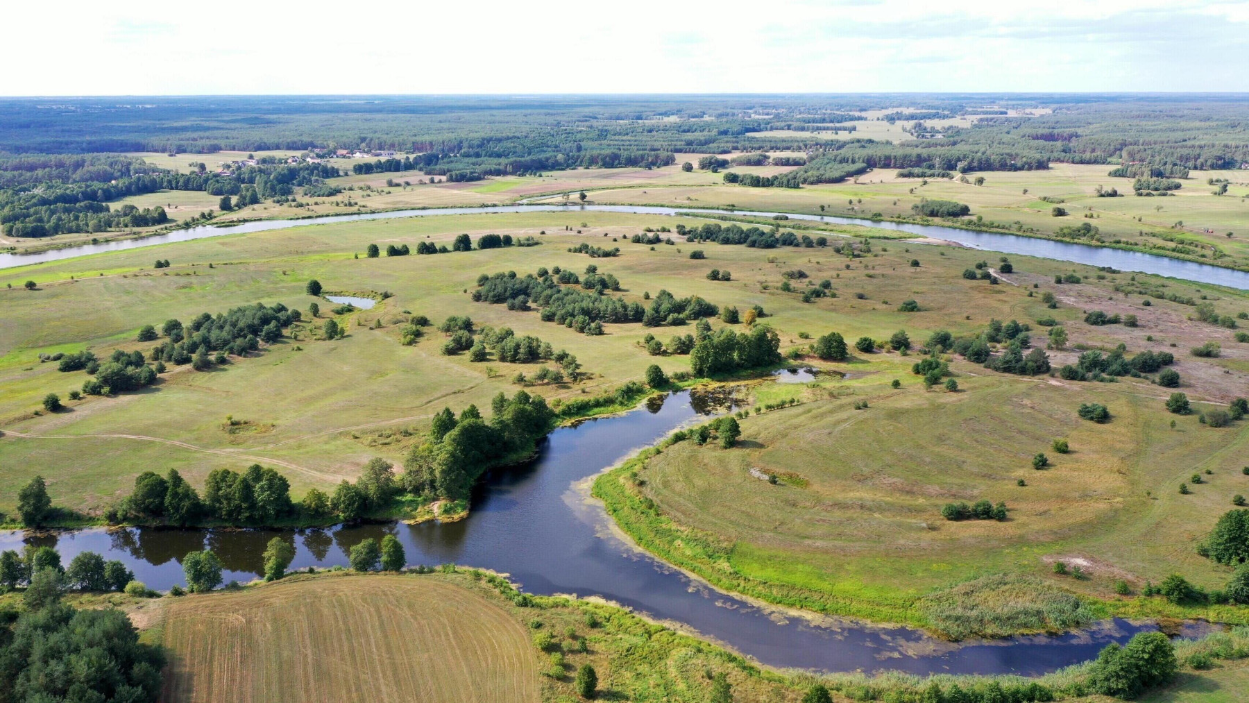 Działki rolne i leśne do wycinki 1557ha Osetno Drogoszewo Gmina Miastkowo - Osetno   -
podlaskie Zdjęcie nr 1