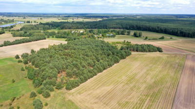Działki rolne i leśne do wycinki 1557ha Osetno Drogoszewo Gmina Miastkowo - Osetno   -
podlaskie Zdjęcie nr 10
