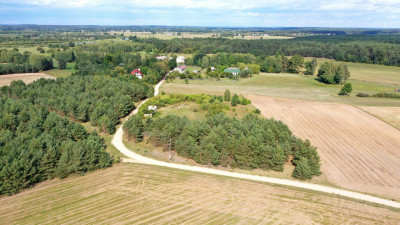 Działki rolne i leśne do wycinki 1557ha Osetno Drogoszewo Gmina Miastkowo - Osetno   -
podlaskie Zdjęcie nr 11