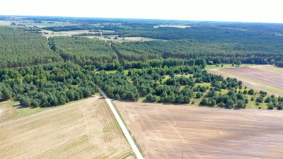 Działki rolne i leśne do wycinki 1557ha Osetno Drogoszewo Gmina Miastkowo - Osetno   -
podlaskie Zdjęcie nr 13