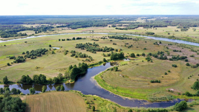 Działki rolne i leśne do wycinki 1557ha Osetno Drogoszewo Gmina Miastkowo - Osetno   -
podlaskie