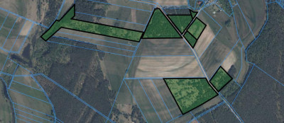 Działki rolne i leśne do wycinki 1557ha Osetno Drogoszewo Gmina Miastkowo - Osetno   -
podlaskie Zdjęcie nr 2