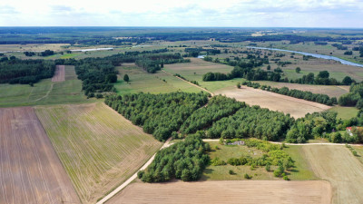 Działki rolne i leśne do wycinki 1557ha Osetno Drogoszewo Gmina Miastkowo - Osetno   -
podlaskie Zdjęcie nr 3