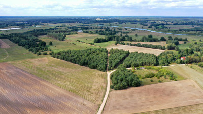 Działki rolne i leśne do wycinki 1557ha Osetno Drogoszewo Gmina Miastkowo - Osetno   -
podlaskie Zdjęcie nr 4