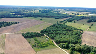 Działki rolne i leśne do wycinki 1557ha Osetno Drogoszewo Gmina Miastkowo - Osetno   -
podlaskie Zdjęcie nr 5