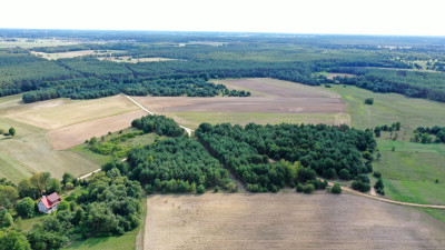 Działki rolne i leśne do wycinki 1557ha Osetno Drogoszewo Gmina Miastkowo - Osetno   -
podlaskie Zdjęcie nr 6