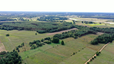 Działki rolne i leśne do wycinki 1557ha Osetno Drogoszewo Gmina Miastkowo - Osetno   -
podlaskie Zdjęcie nr 7