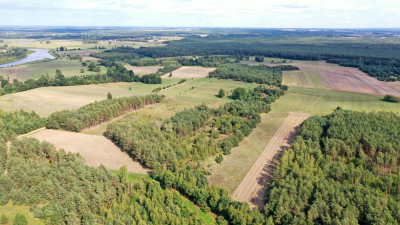 Działki rolne i leśne do wycinki 1557ha Osetno Drogoszewo Gmina Miastkowo - Osetno   -
podlaskie Zdjęcie nr 9