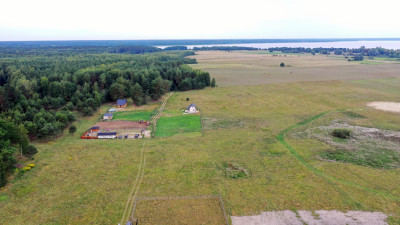Działka rolna - zdory jezioro Śniardwy - Zdory   -
warmińsko-mazurskie Zdjęcie nr 6