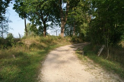 Działka na Mazurach - Szymanowo   -
warmińsko-mazurskie Zdjęcie nr 2