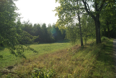 Działka na Mazurach - Szymanowo   -
warmińsko-mazurskie Zdjęcie nr 3