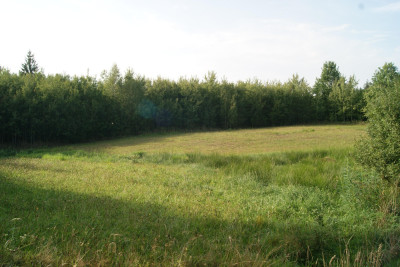 Działka na Mazurach - Szymanowo   -
warmińsko-mazurskie Zdjęcie nr 5