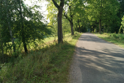 Działka na Mazurach - Szymanowo   -
warmińsko-mazurskie Zdjęcie nr 7