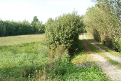 Działka z mediami na Mazurach - Szymanowo   -
warmińsko-mazurskie