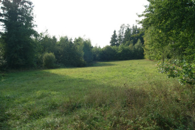 Działka z mediami na Mazurach - Szymanowo   -
warmińsko-mazurskie Zdjęcie nr 3