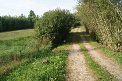 Działka z mediami na Mazurach - Szymanowo   -
warmińsko-mazurskie Zdjęcie nr 5