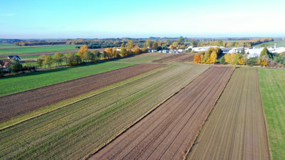 Działki budowlane Jeziorko Długa Leszczynowa - Jeziorko   -
podlaskie Zdjęcie nr 7
