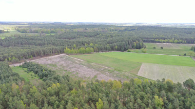 Grunty rolne z potencjałem - Pupki   -
podlaskie Zdjęcie nr 8