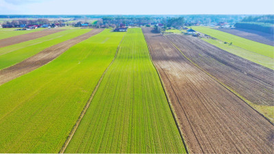 Działki budowlane w atrakcyjnej cenie blisko Łomży - Stare Modzele   -
podlaskie Zdjęcie nr 11