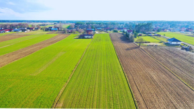 Działki budowlane w atrakcyjnej cenie blisko Łomży - Stare Modzele   -
podlaskie Zdjęcie nr 13