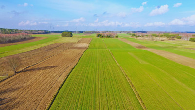 Działki budowlane w atrakcyjnej cenie blisko Łomży - Stare Modzele   -
podlaskie Zdjęcie nr 6