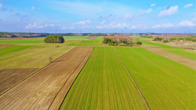 Działki budowlane w atrakcyjnej cenie blisko Łomży - Stare Modzele   -
podlaskie Zdjęcie nr 7