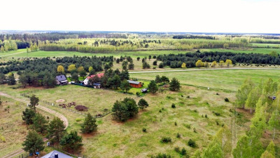 Działka Budowlana Szczechy Wielkie gm Pisz - Szczechy Wielkie   -
warmińsko-mazurskie Zdjęcie nr 10