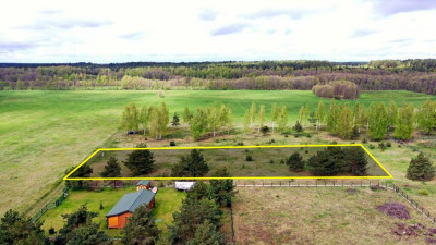 Działka Budowlana Szczechy Wielkie gm Pisz - Szczechy Wielkie   -
warmińsko-mazurskie