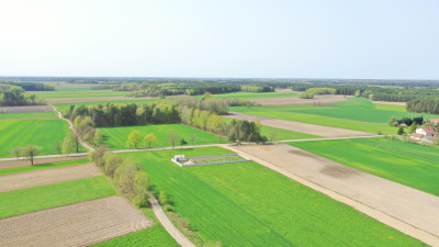 Działki w atrakcyjnych cenach blisko natury - Szczepankowo   -
podlaskie Zdjęcie nr 10