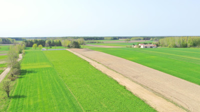 Działki w atrakcyjnych cenach blisko natury - Szczepankowo   -
podlaskie Zdjęcie nr 2