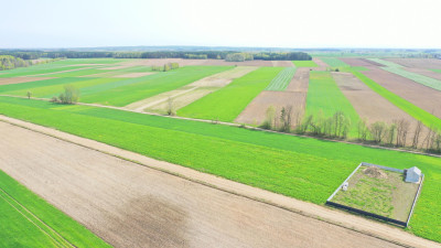 Działki w atrakcyjnych cenach blisko natury - Szczepankowo   -
podlaskie Zdjęcie nr 5