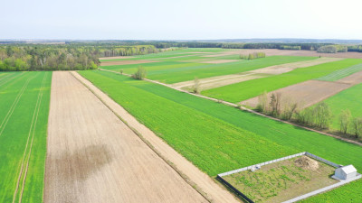 Działki w atrakcyjnych cenach blisko natury - Szczepankowo   -
podlaskie Zdjęcie nr 6